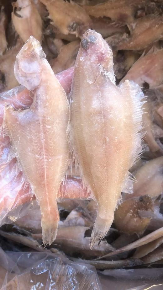 【京东/顺丰包邮】深海小蝶鱼（三去） 一根主刺 肉质非常非常细腻 真正意义上没有腥味的海鱼基地直邮 商品图7