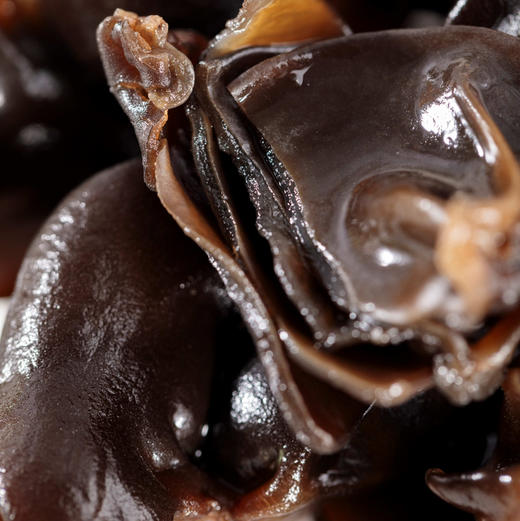 有机东北秋木耳——黑滑肉厚的地标小碗耳不熏硫，不增重，无酸味；特有的碗状非常受食客们的喜爱 商品图3