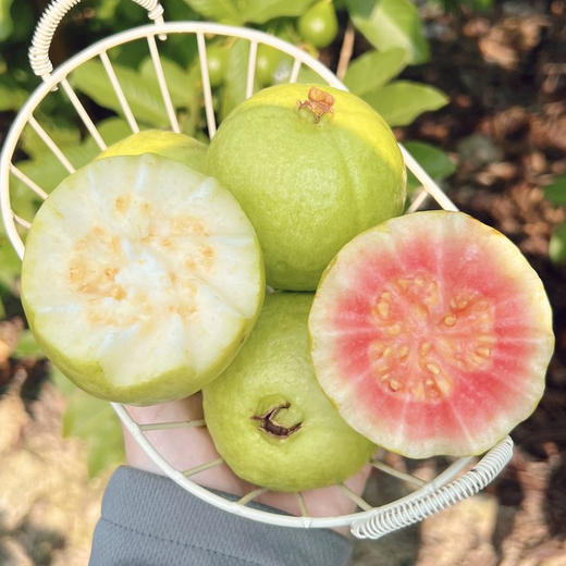 树上熟 奶油芭乐，草莓芭乐，果味浓郁，绵软香甜，一款健康好吃的低热量水果 商品图8