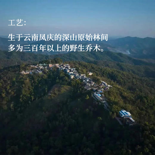 守艺 · 云野 野生古树滇红50克 红茶 问山严选 商品图4