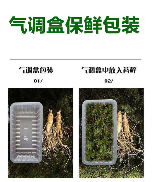 有机吉林长白山鲜人参（4-5年生）品质之选，您值得拥有！ 商品图10