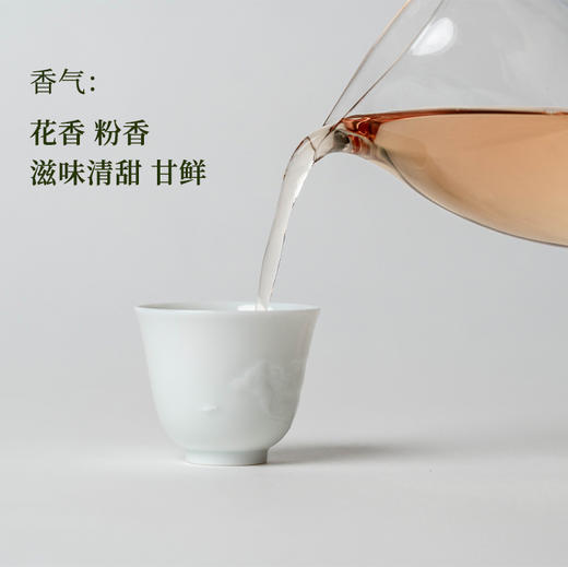 守艺 · 雪域白茶100克/饼  西藏高原2020年 商品图3