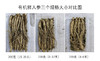有机吉林长白山鲜人参（4-5年生）品质之选，您值得拥有！ 商品缩略图7