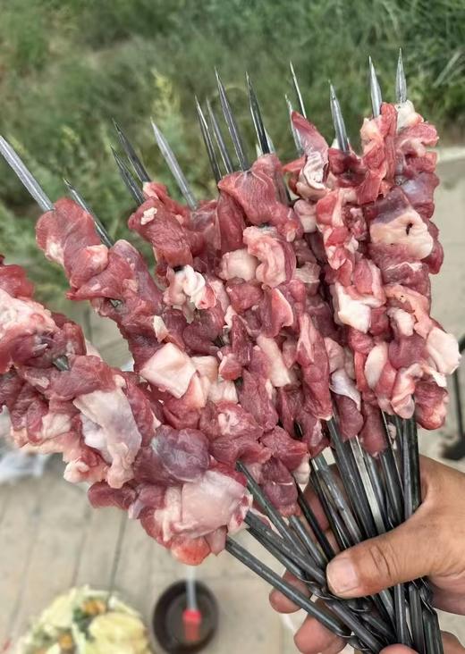 【阿克苏优选】柳源散养羊肉 商品图0