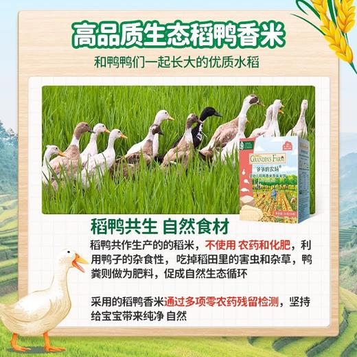 爷爷的农场米饼类合集 商品图4