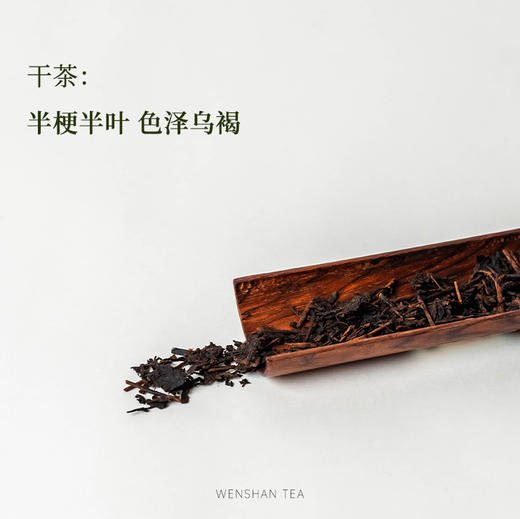 暖黑 · 2002年老六堡 桂青原种 50克 | 问山严选 黑茶 商品图1