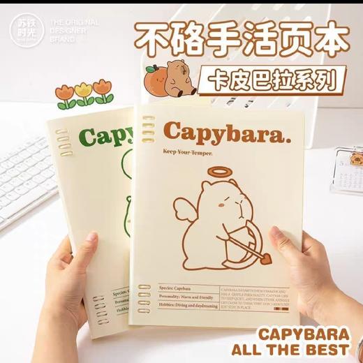 苏铁时光活页夹/B5/水豚居居 商品图1
