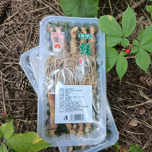 有机吉林长白山鲜人参（4-5年生）品质之选，您值得拥有！ 商品图0