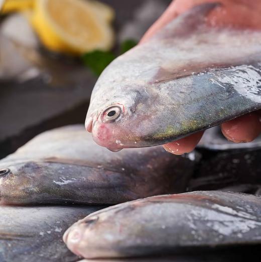 【发出后不支持拦截退货】至鲜 精选流网鲳鱼 380g*3 商品图1