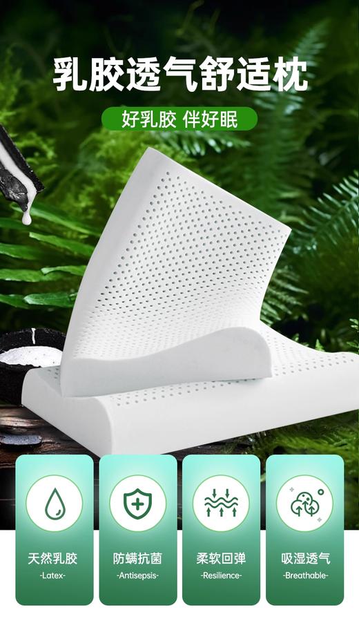【春上新】10楼 安睡宝 针织透气乳胶枕-成人款 40*60*10/8cm 吊牌价999元/只 活动价299元/只 商品图2