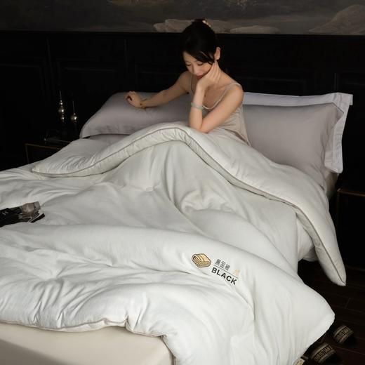 【3D石墨烯黑金被  】食品级大豆新世纪的健康纤维 商品图2