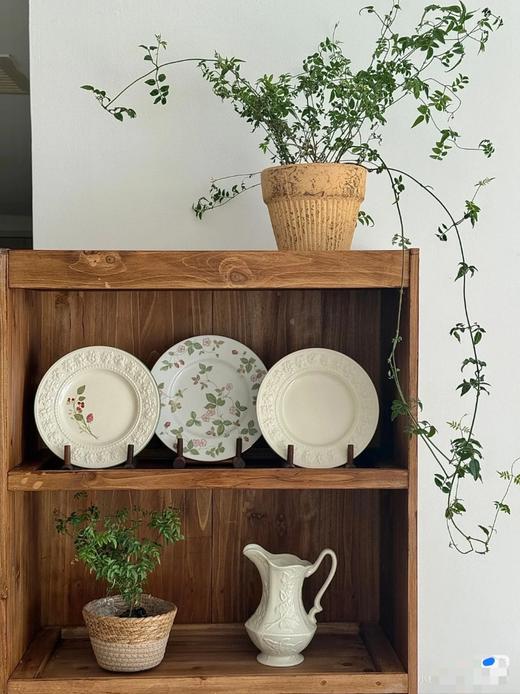 送礼必备☕【W家同款野草莓骨瓷系列大合集】超多款可选：子母壶｜炖盅｜葫芦盘款杯碟｜筷子｜烟灰缸｜纸巾盒｜花瓶…无标发货，10.16日上新！WD 商品图5