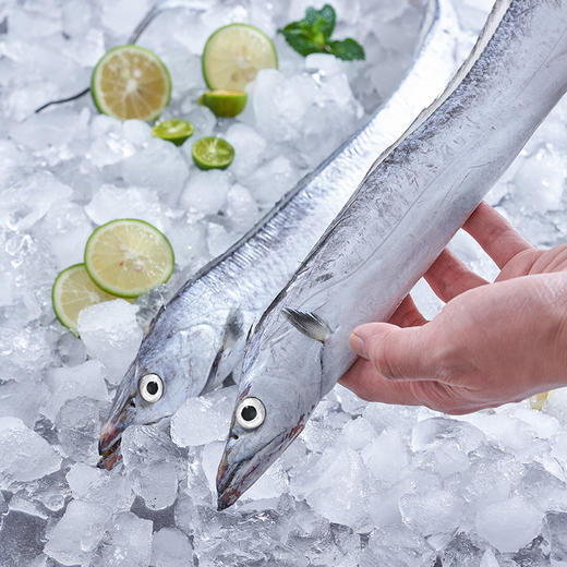 【发出后不支持拦截退货】至鲜 精选油带切块 380g*3 商品图4