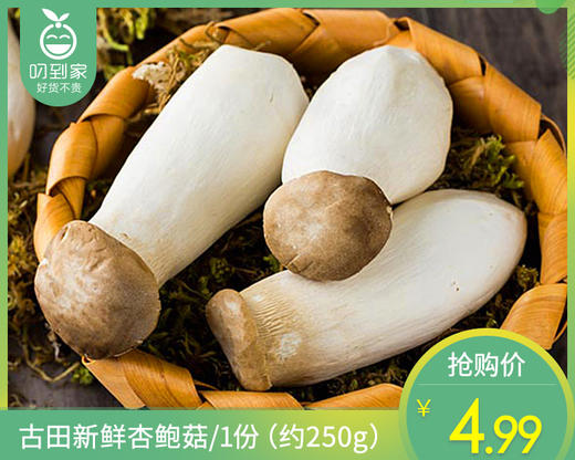 【叼鲜蔬】古田新鲜杏鲍菇/1份（约250g） 商品图0