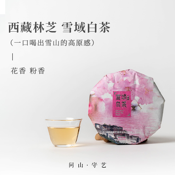 守艺 · 雪域白茶100克/饼  西藏高原2020年