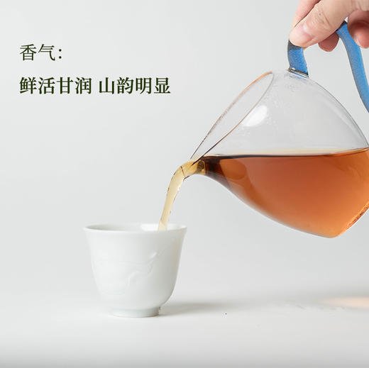 守艺 · 云野 野生古树滇红50克 红茶 问山严选 商品图3