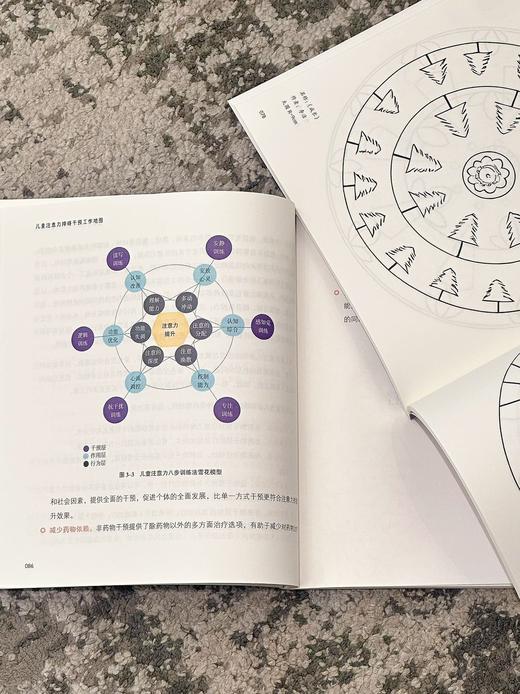 儿童注意力障碍干预工作地图：非药物干预和训练的全新策略 商品图7