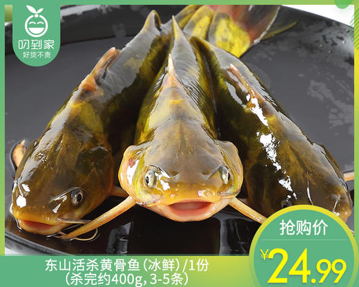 东山活杀黄骨鱼（冰鲜）/1份（杀完约400g，3-5条） 商品图0