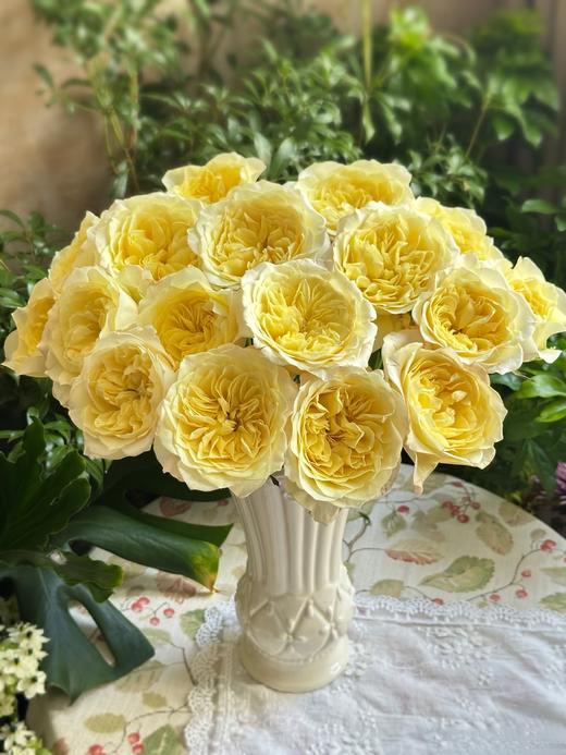 国产精品单头玫瑰花窒息10支 商品图1