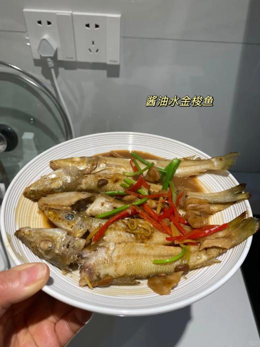 &  只在干净的沙层海域生活的金沙梭，也叫梭子鱼，沙尖鱼~🐠煮酱油水、椒盐，香煎煮汤最鲜甜😋活冻 商品图8