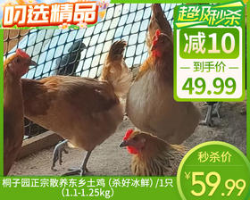 桐子园正宗散养东乡土鸡（杀好冰鲜）/1只（1.1-1.25kg）生产日期：12月21日
