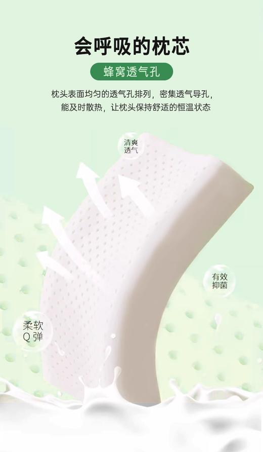 【春上新】10楼 安睡宝 针织透气乳胶枕-成人款 40*60*10/8cm 吊牌价999元/只 活动价299元/只 商品图4