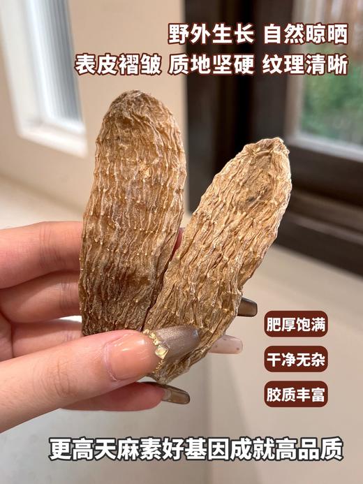 长白山有机野生天麻（净重200克/罐） 商品图2