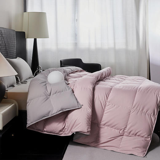 【云粉节】【送1000元线下无门槛券】10楼 安睡宝 逸臻西伯利亚进口双拼色95%白鹅绒春秋被 吊牌价10999-11999元  活动价2999-3299元 商品图1