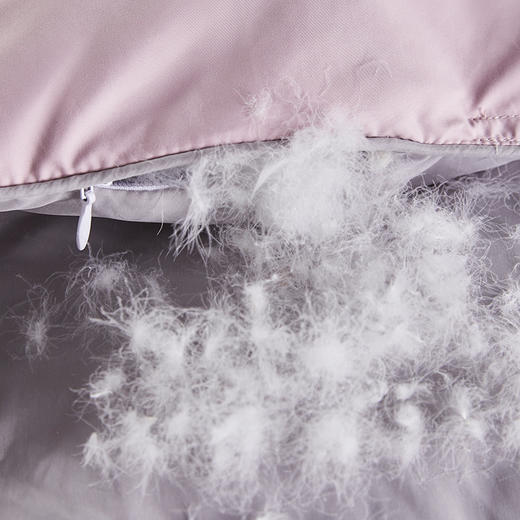 【云粉节】【送1000元线下无门槛券】10楼 安睡宝 逸臻西伯利亚进口双拼色95%白鹅绒春秋被 吊牌价10999-11999元  活动价2999-3299元 商品图4