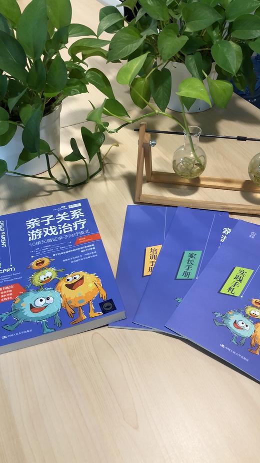 亲子关系游戏治疗：10单元循证亲子治疗模式（第2版） 商品图2