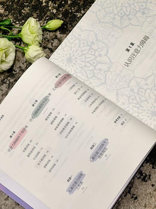 儿童注意力障碍干预工作地图：非药物干预和训练的全新策略 商品图5