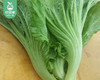 【叼鲜蔬】武夷山新鲜芥菜/1份（约300g） 商品缩略图1