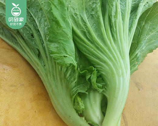 【叼鲜蔬】武夷山新鲜芥菜/1份（约300g） 商品图1