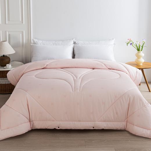 2025年秋冬新款雅芳婷纤维被子宿舍单人学生冬被抑菌防螨冬季被芯 商品图5