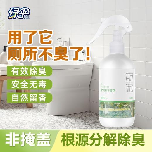 绿伞本来味道空气除味香氛衣物去油烟味火锅味除味喷雾神器室内用 商品图0