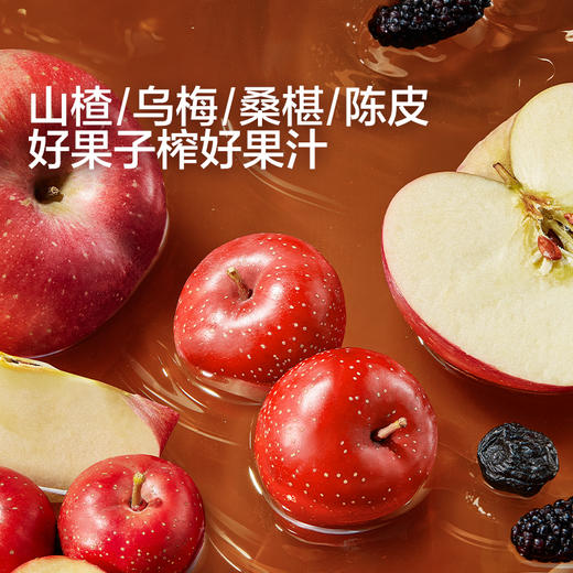 宝宝馋了 宝宝山楂汁 100g*10 商品图2