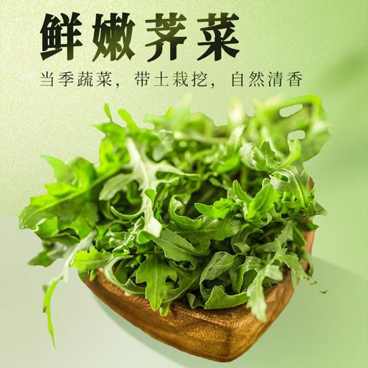 船歌鱼水饺007荠菜大虾水饺250g*4袋简装 商品图6