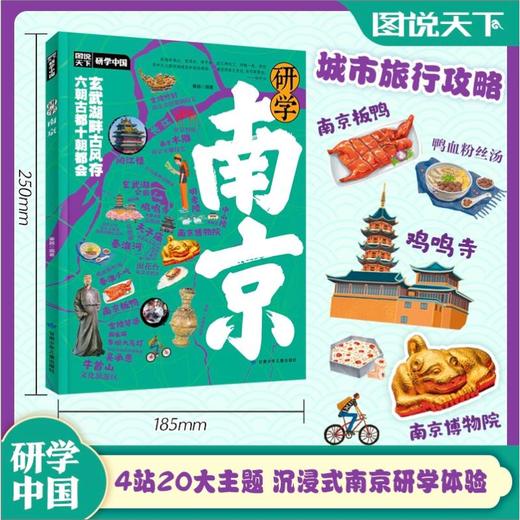 研学南京图说天下研学中国青少年城市旅游百科 商品图0