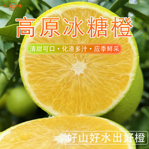 云南哀牢山生态冰糖橙 源于“褚橙原产地”玉溪新平哀牢山 清甜可口、化渣多汁、皮薄肉厚 生态种植  200项农残检测 商品图0