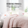 2025年秋冬新款雅芳婷纤维被子宿舍单人学生冬被抑菌防螨冬季被芯 商品缩略图3