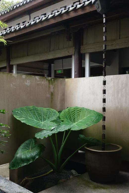 🍃 赏春丨不如方 · 临海丹楹店 × 2天1晚套餐丨台州 商品图9