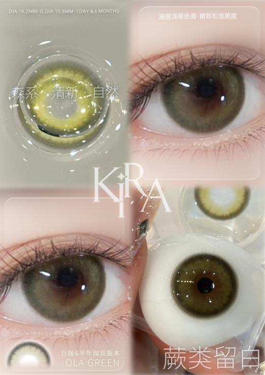 【新升级日抛线】蕨类留白 日抛 KiraFairy 商品图2