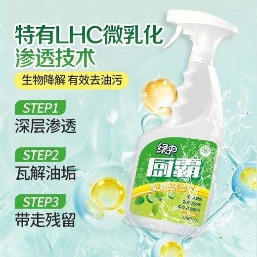 绿伞厨霸500g油烟净厨房重油污清洁剂抽油烟机灶台瓷砖去重油 商品图5