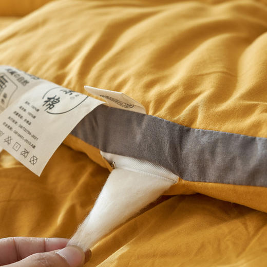 三泰龙 里外全棉纯色冬被新疆长绒棉加厚被子8斤 商品图3