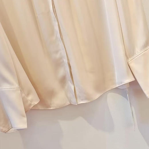 VIVIAN LIU TD2453003秋女装新款桑蚕丝小翻领领口捏褶底摆衬衫 商品图3