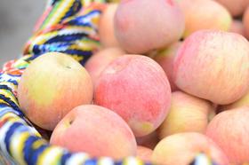 顺丰发货【新疆阿克苏冰糖心苹果】自然糖心，甜度爆表，一口咬到天山雪水！每一口都是阳光的甜，脆嫩多汁，甜度爆表，咬下去，连心都跟着化了，果肉细腻，果核透明，果味儿浓，爆汁脆甜