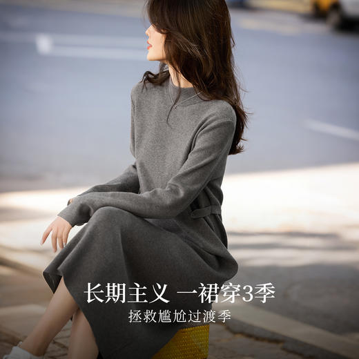 【10/29新品】熙世界格雷轻熟风直筒针织连衣裙女冬2025新款纯色半高领毛衣长裙 商品图2