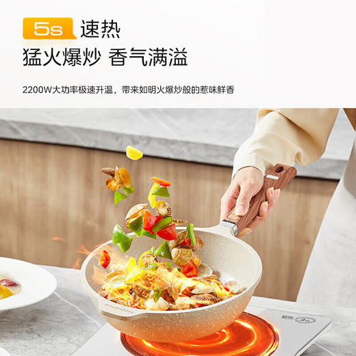 【DZ】美的电磁炉 灰色 22RB13 商品图4