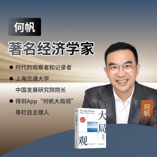 大局观 真实世界中的经济学思维 何帆 穿透新技术泡沫 经济学理论 经济学思维 经济学读物书籍 商品图2
