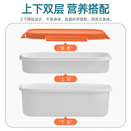 【茶花】双层分隔保鲜盒便当盒塑料学生饭盒上班族分隔密封餐盒收纳 商品图4